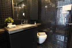 Skysuites@Anson (D2), Apartment #233888321